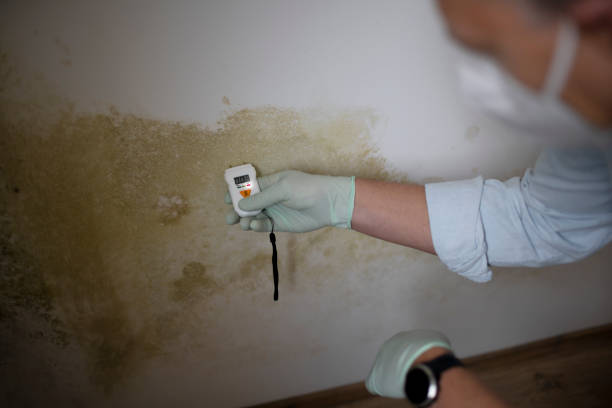 Water Damage Restoration in North Miami Beach, FL
